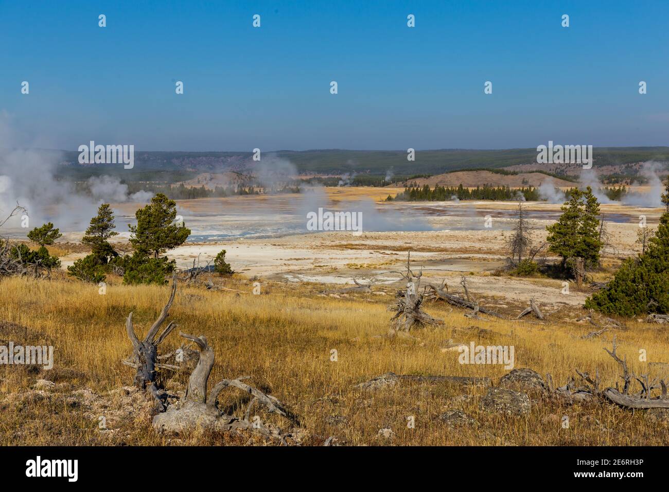 Geysire sind heiße Quellen mit engen Räumen in ihren Rohrleitungen, in der Regel in der Nähe der Oberfläche. Wenn das Wasser aufsteigt, bildet sich Dampf. Enorme Mengen an Dampf Stockfoto Geysire sind heiße Quellen mit engen Räumen in ihren Rohrleitungen, in der Regel in der Nähe der Oberfläche. Wenn das Wasser aufsteigt, bildet sich Dampf. Enorme Mengen an Dampf Stockfoto