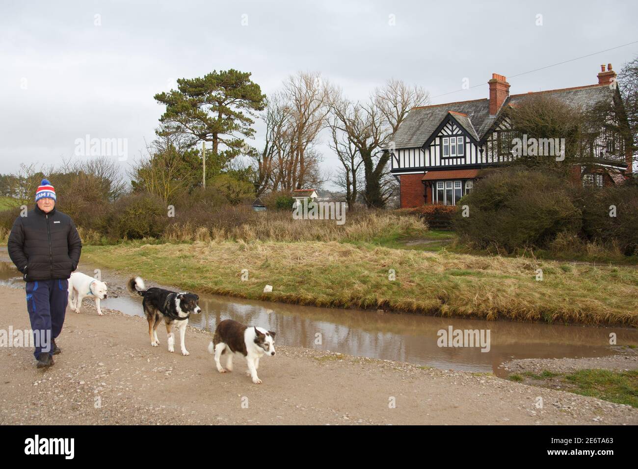 Hest Bank, Lancashire, Großbritannien. Januar 2021. Ein Mann geht mit seinen Hunden am Haus in der Nähe von Hatlex Beck vorbei, das in ITV's Televison Drama The Bay HEST Bank, Lancashire, Großbritannien, zu sehen ist. Januar 2021. Ein Paar geht am Haus in der Nähe von Hatlex Beck vorbei, das in ITV's Fernsehdrama The Bay in und um Morecambe gedreht wurde und auf eine Familie ausgerichtet ist, die eine lokale Anwaltskanzlei besitzt und leitet, angeführt von Bill, gespielt von James Cosmo, Dessen Haus war es in der TV-Serie und Stephen, gespielt von Stephen Tompkinson. Kredit: PN Nachrichten/Alamy Live Nachrichten Stockfoto