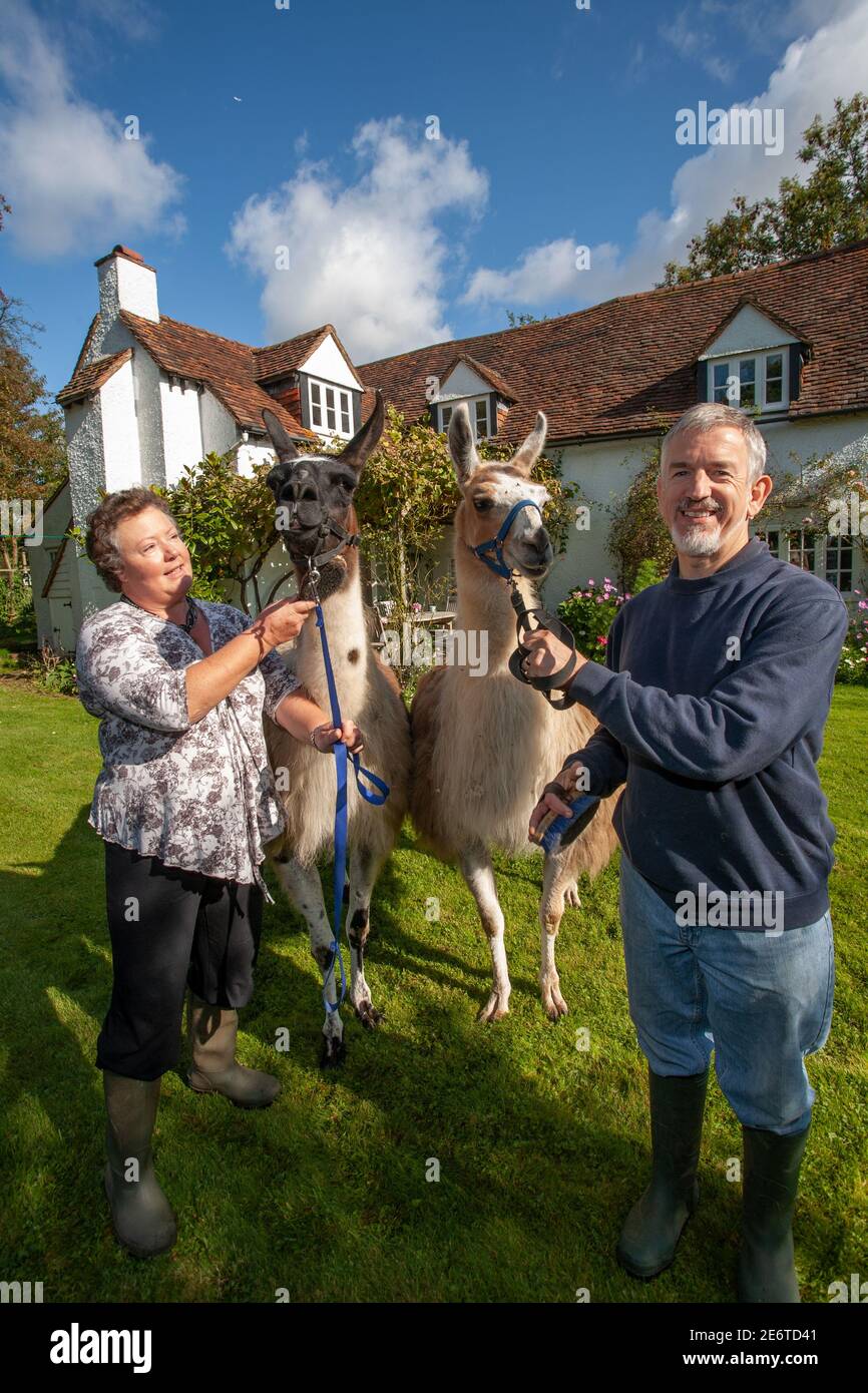 Lyn und Caroline Jenkins, die auf dem Gelände ihrer Hütte in Great Missenden, Großbritannien, Paddocks für ihre Llamas, Obstgärten und Gemüsegärten schufen Stockfoto