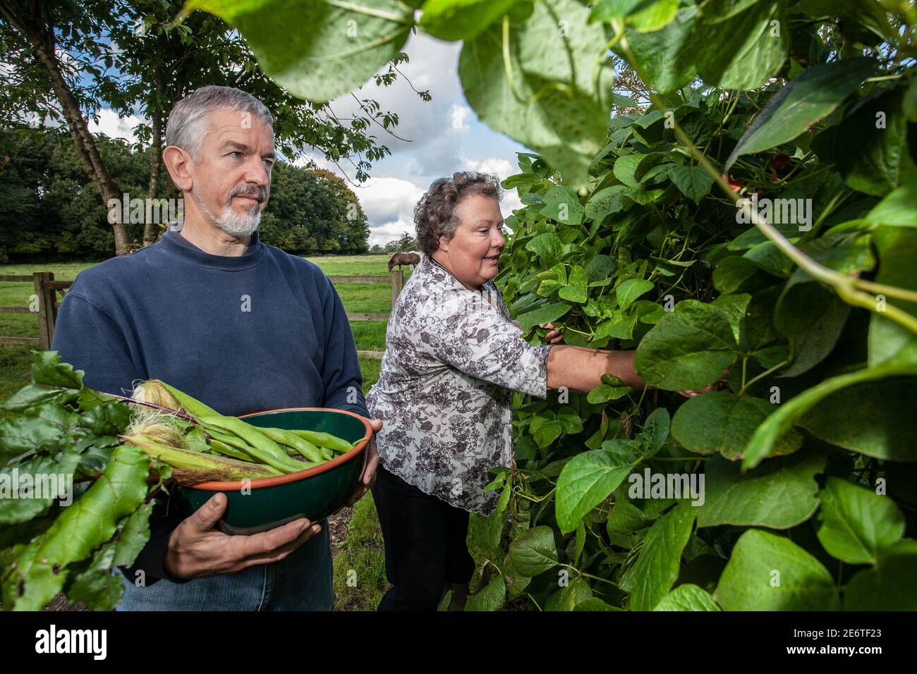 Lyn und Caroline Jenkins, die auf dem Gelände ihrer Hütte in Great Missenden, Großbritannien, Paddocks für ihre Llamas, Obstgärten und Gemüsegärten schufen Stockfoto