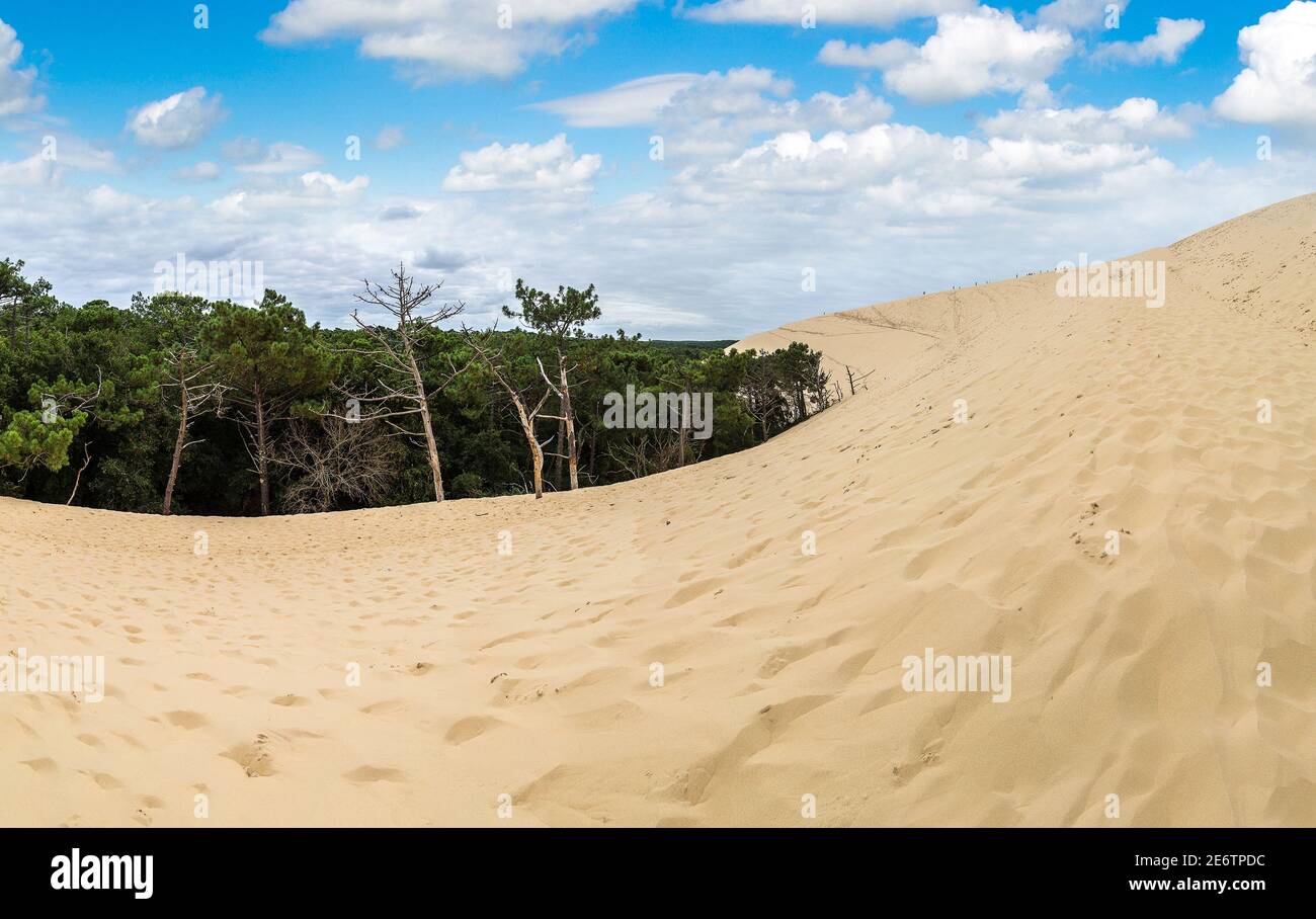 Düne von Pilat (Düne du Pyla) - die höchste Sanddüne in Europa, Arcachon Bay, Aquitaine, Frankreich, Atlantik Stockfoto