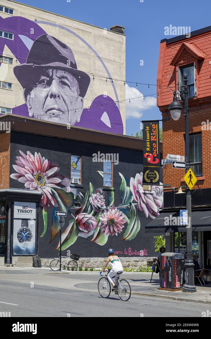 Kanada, Provinz Quebec, das Plateau-Mont-Royal Viertel, Boulevard Saint-Laurent, das Wandgemälde gewidmet dem Singer-Songwriter, Musiker, Dichter, Schriftsteller und Maler L?onard Cohen, ein monumentales Werk von Kevin Ledo berühmten Montreal Street Artist, ein weiteres Werk (Blumen): Fvckrender von Künstler Jeremy Shantz Stockfoto