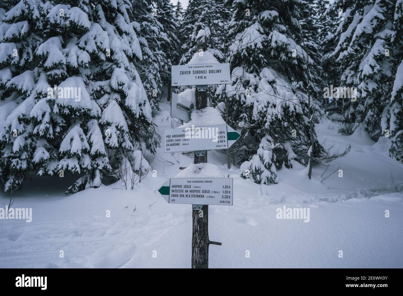 Tatra Berg Schneelandschaft mit touristischen Zeichen und Richtungsanzeiger. Magischer Winter schneebedeckter Boden. Der Winterboden ist gefroren Stockfoto