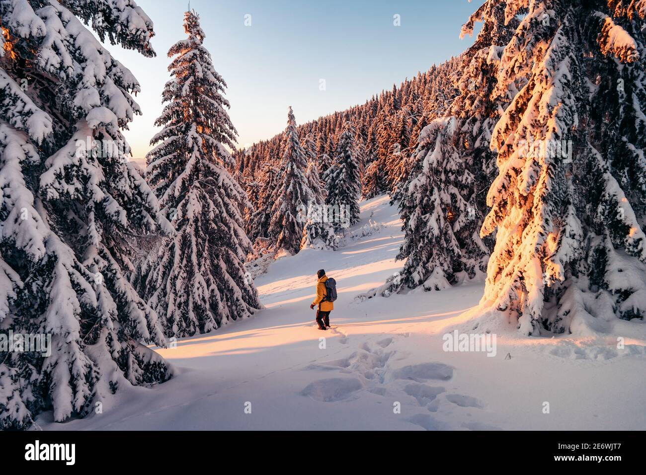 Panoramablick auf junge Mann in schönen Winter Wunderland Landschaft In Skandinavien im szenischen Abendlicht bei Sonnenuntergang mit Blau Himmel und Wolken im Winter Stockfoto
