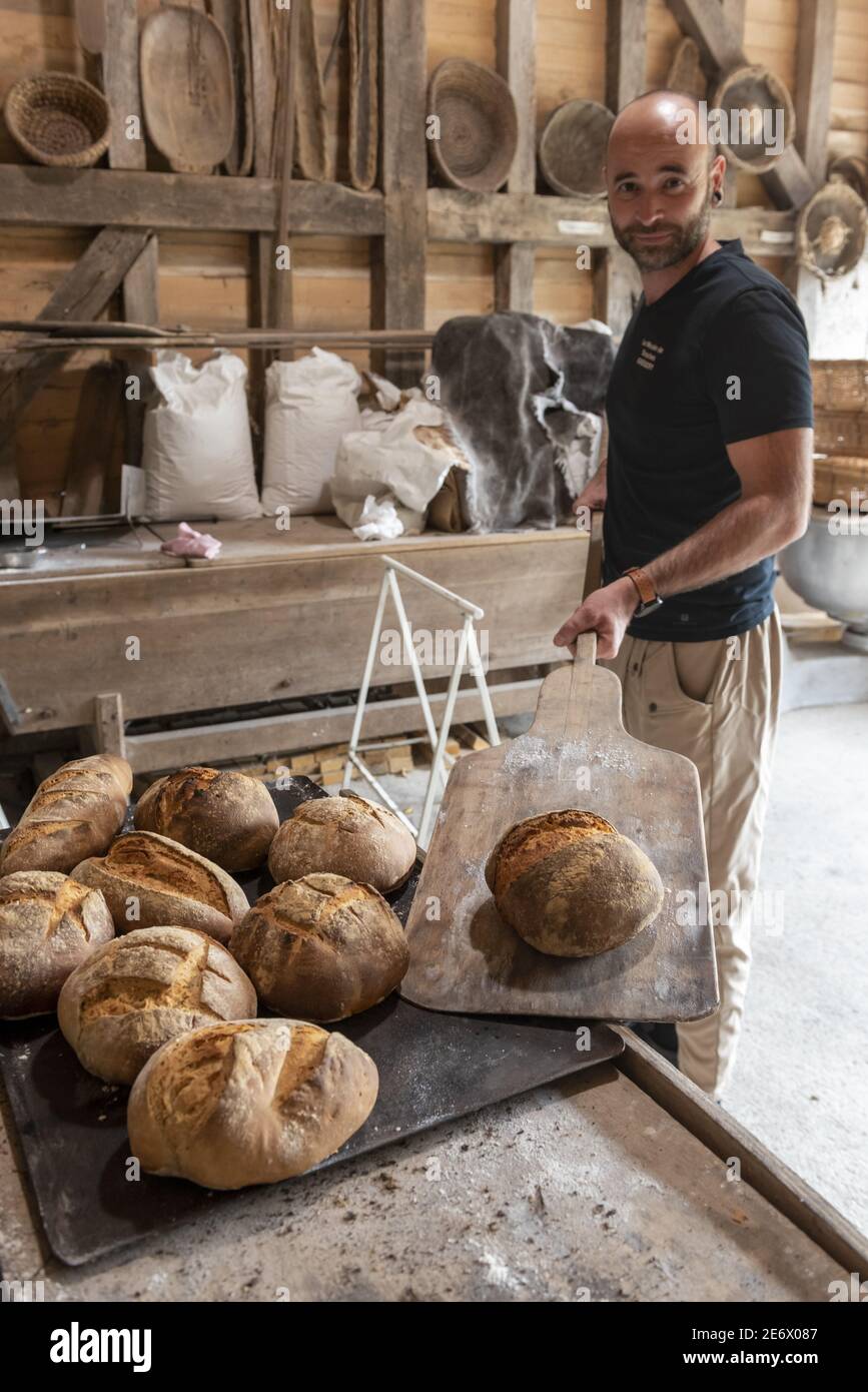 Frankreich, Aube, Dosches, Gregory Bendot macht Brot mit Bio-Mehl aus der Dosches Windmühle Stockfoto