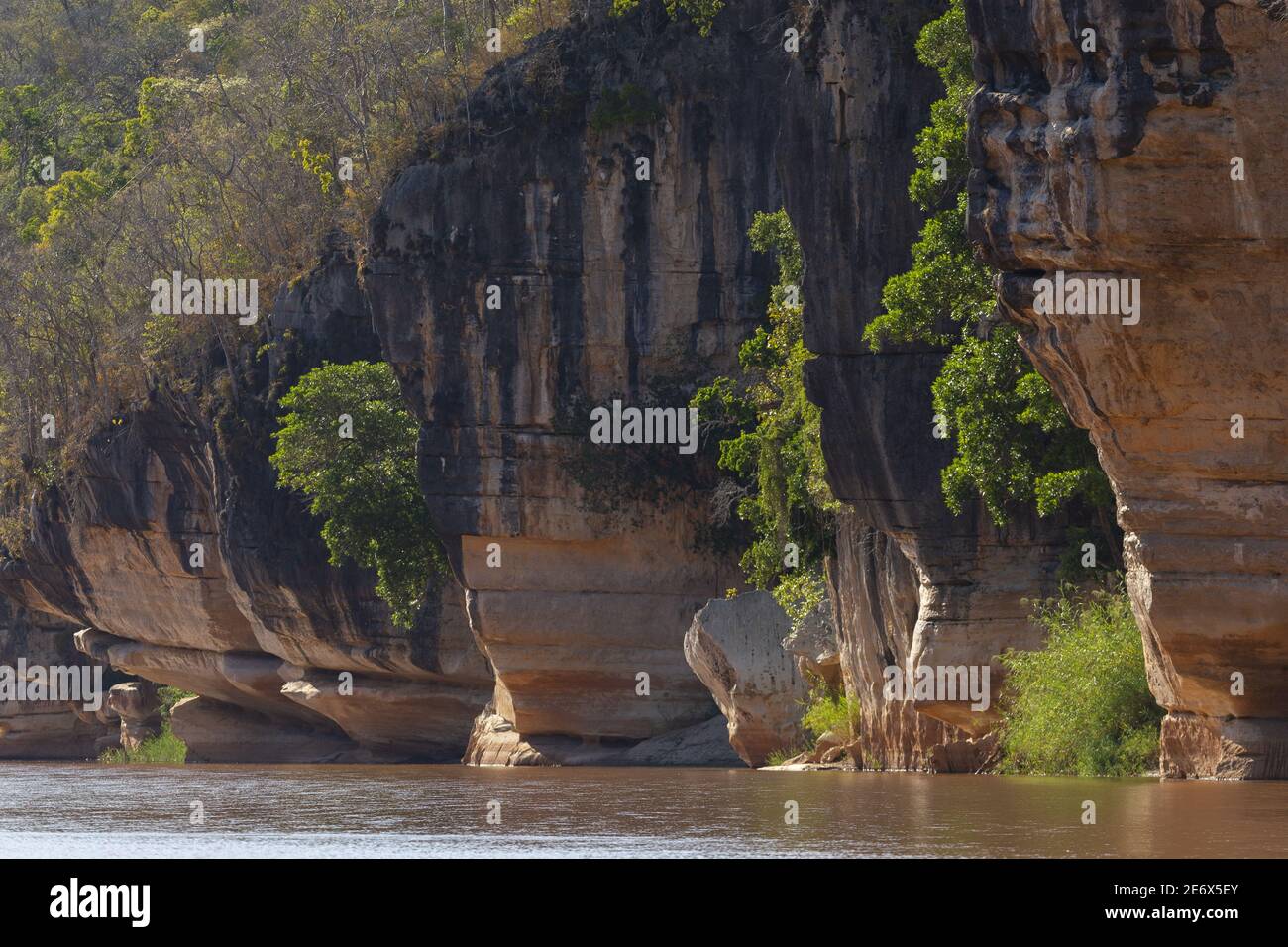Madagaskar, Melaky Region, Tsingy de Bemaraha Nationalpark, Tsingy de Bemaraha integrales Naturschutzgebiet, das von der UNESCO zum Weltkulturerbe erklärt wurde, der Fluss Manambolo Stockfoto