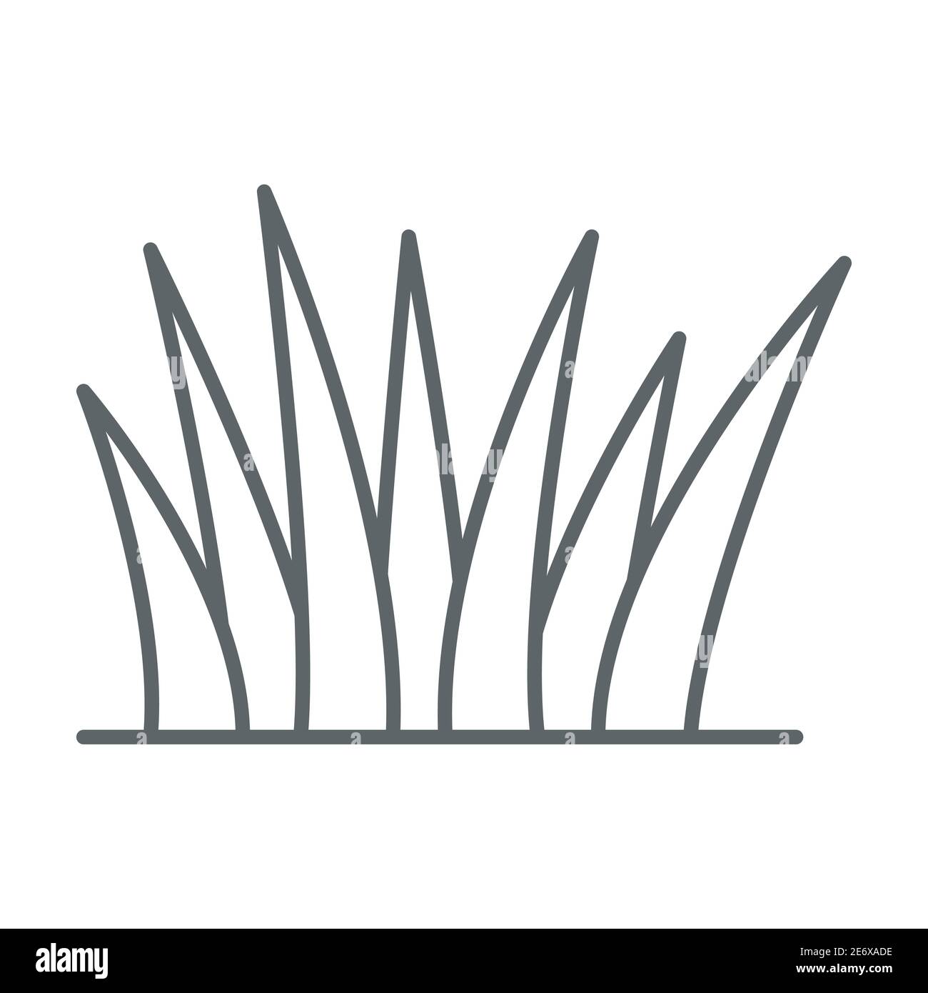 Gras dünne Linie Symbol, Naturkonzept, Rasen Zeichen auf weißem Hintergrund, Gras Blätter Symbol in Umriss-Stil für mobile Konzept und Web-Design. Vektor Stock Vektor