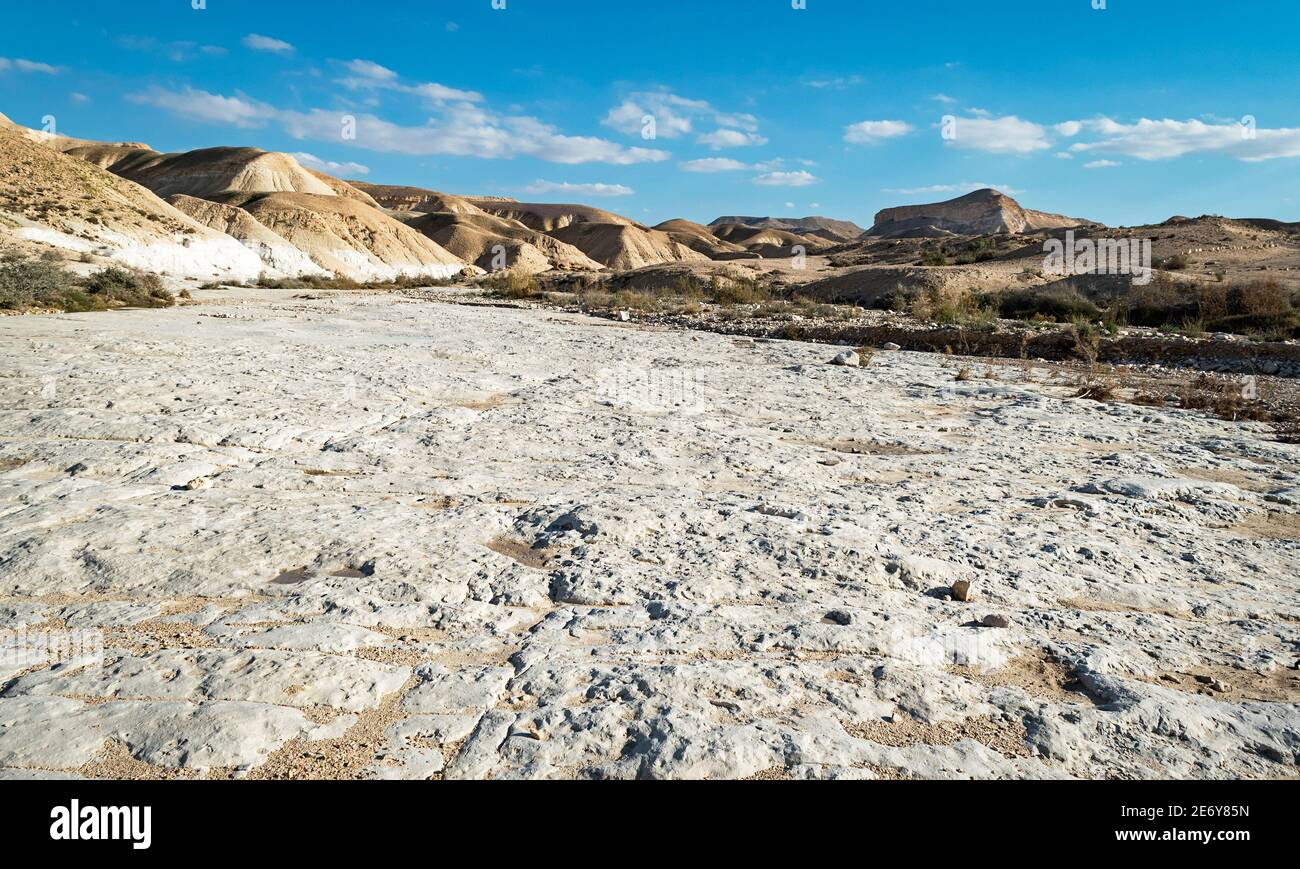 Eine beeindruckende flache Kreide oder Kalksteinplatte bildet das Bett Des nahal-Akev-Baches in der Nähe der ein-Akev-Quelle Im Zin-Tal in israel mit einem teilweise c Stockfoto