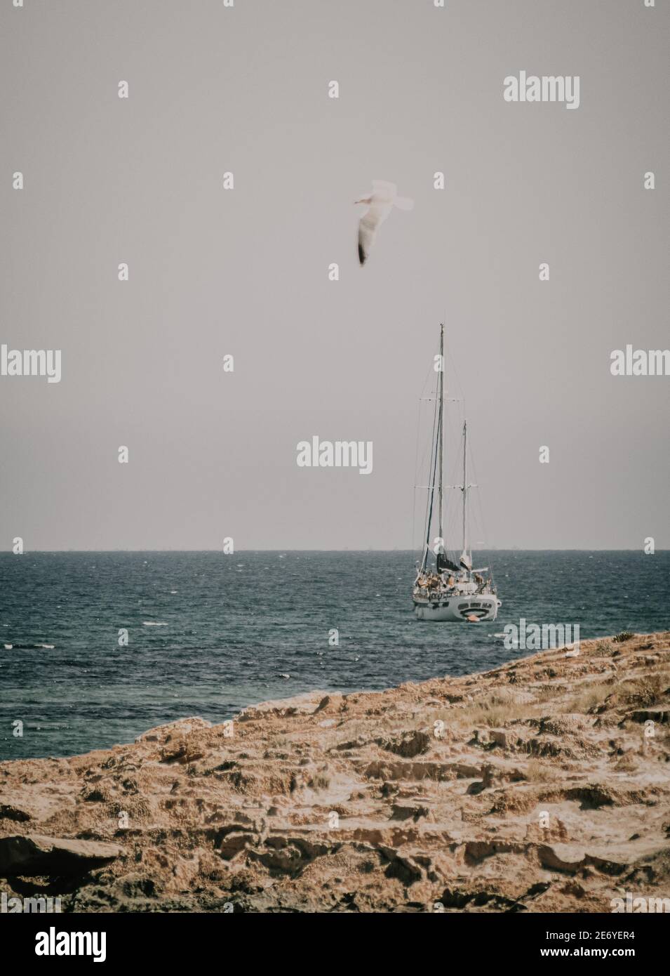 Vertikale Aufnahme eines vorbeifliegenden Schiffes und einer Möwe Auf einem g Stockfoto