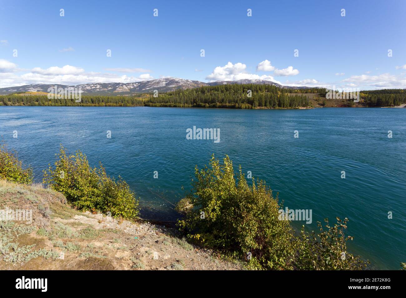 Schwatka Lake, ein Stausee außerhalb von Whitehorse, Yukon, Kanada. Dieser See wurde durch die Stauung des Yukon River gebildet. Stockfoto