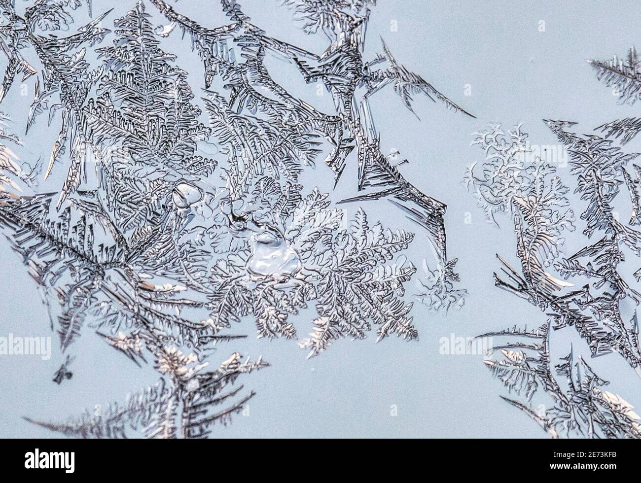 Eiskristalle bilden sich auf Glas Stockfoto