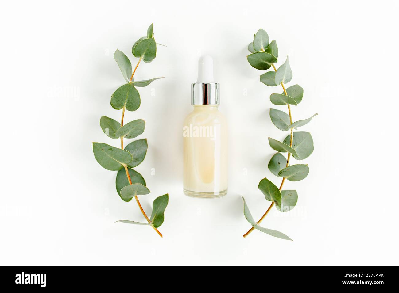 Ätherisches Eukalyptusöl, Eukalyptusblätter auf weißem Hintergrund. Natürliche, organische Kosmetikprodukte. Medizinische, Natürliche Seren. Flach liegend, Draufsicht. Stockfoto