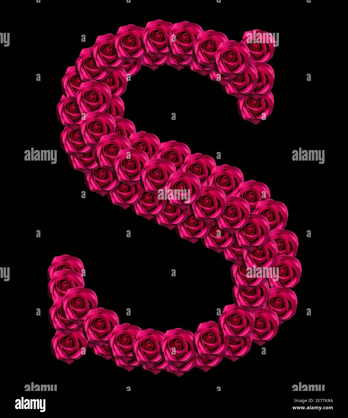 Romantisches Konzeptbild eines Großbuchstabens S aus roten Rosen. Isoliert auf schwarzem Hintergrund. Design-Element für Liebe oder Valentinstag Themen Stockfoto