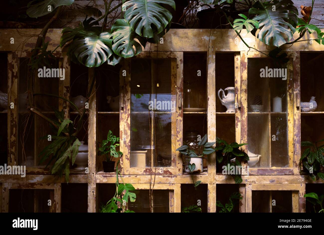 Botanischer schrank -Fotos und -Bildmaterial in hoher Auflsung  Alamy