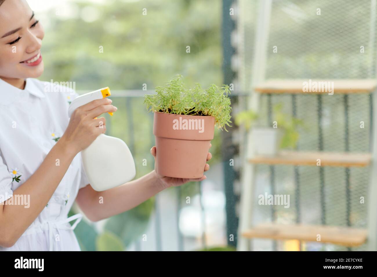 Frau kümmert sich um Pflanzen in ihrem Haus, Bewässerung einer Pflanze mit reinem Wasser. Stockfoto