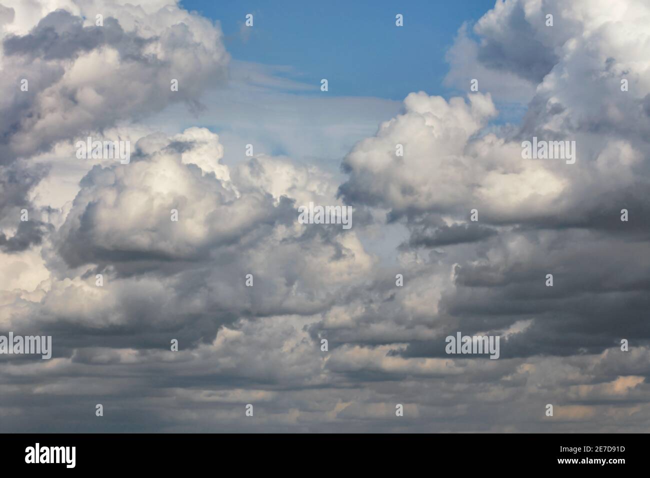 Cumulus weiß-graue Wolken bedecken allmählich den blauen Himmel mit einer dichten Decke. Stockfoto