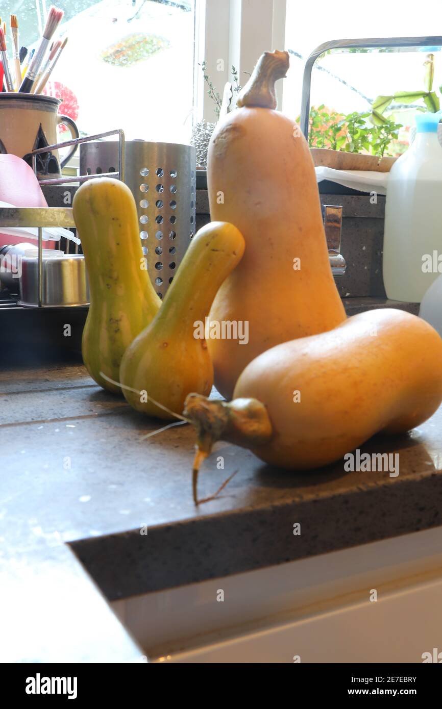 Obst und Gemüse aus eigener Anbau auf der Theke Stockfoto