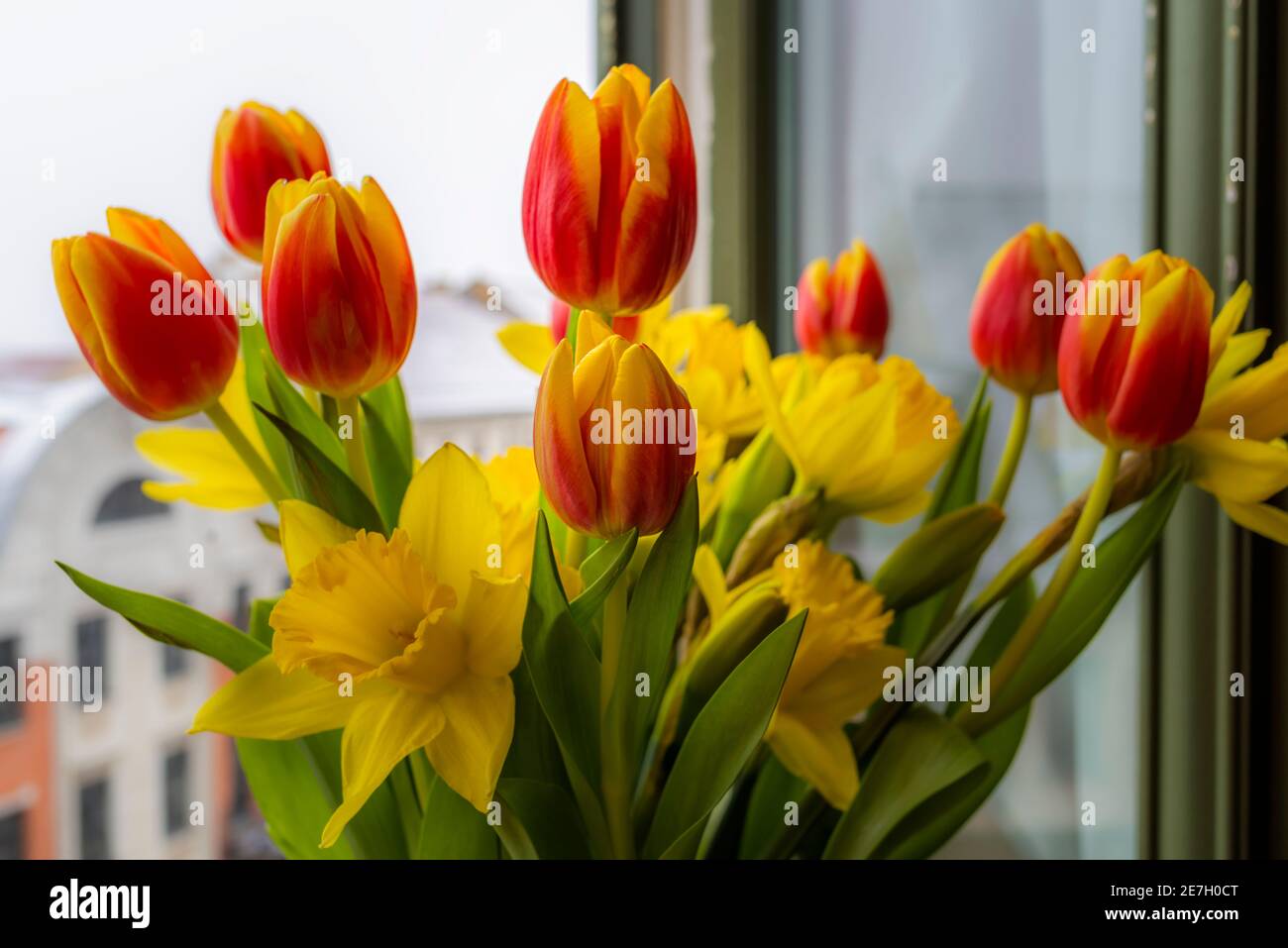 Tulpen und Narzissen, Blumenstrauß im Frühjahr Stockfoto