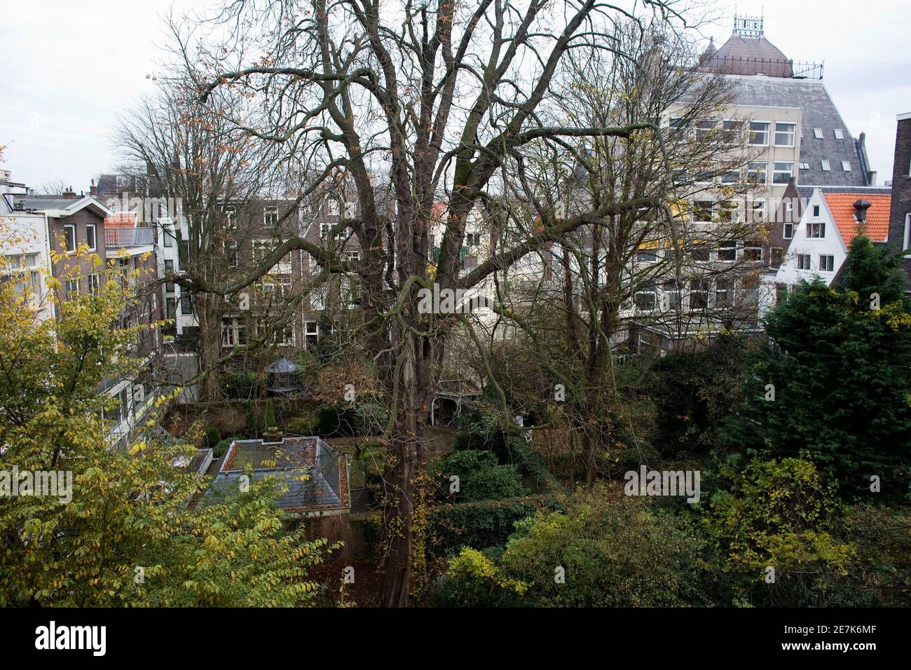 Ein Blick auf die 150 bis 170 Jahre alte Kastanie aus dem Haus, in dem Anne Frank in Amsterdam wohnte, 16. November 2007. Aktivisten, die gegen das Fällen des Kastanienbaums Anne Frank sehen konnte, wie sie sich vor den Nazis am Donnerstag versteckte, gewannen das Recht auf eine Gerichtsverhandlung, die es vor dem Hacken retten könnte. Der Baum hinter dem Amsterdamer Lagerhaus, in dem Anne Frank sich bis 1944 vor den Nazis versteckte, ist so krank und beschädigt, dass die Gefahr besteht, dass er umkippen könnte. REUTERS/Jerry Lampen (NIEDERLANDE) Stockfoto