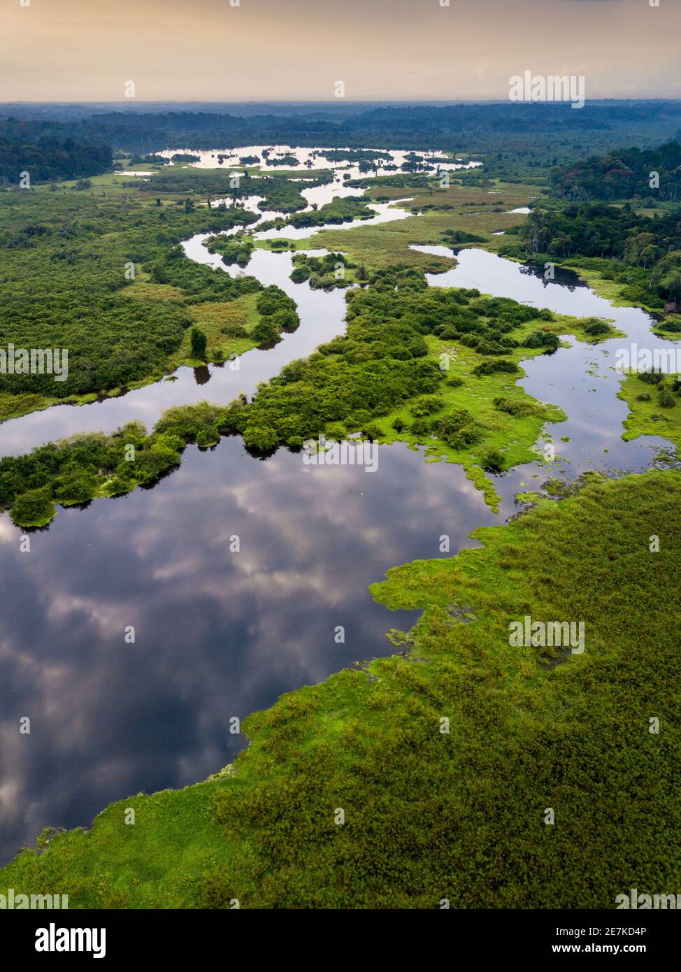 Luftaufnahme von tropischen Feuchtgebieten, Akaka, Loango National Park, Gabun. Stockfoto