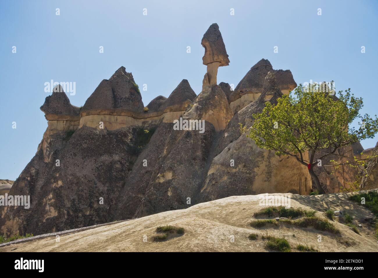 Panorama von Kappadokien mit herrlichen Steinstrukturen und Höhlen in der Nähe von Goreme, Kappadokien, Anatolien, Türkei Stockfoto