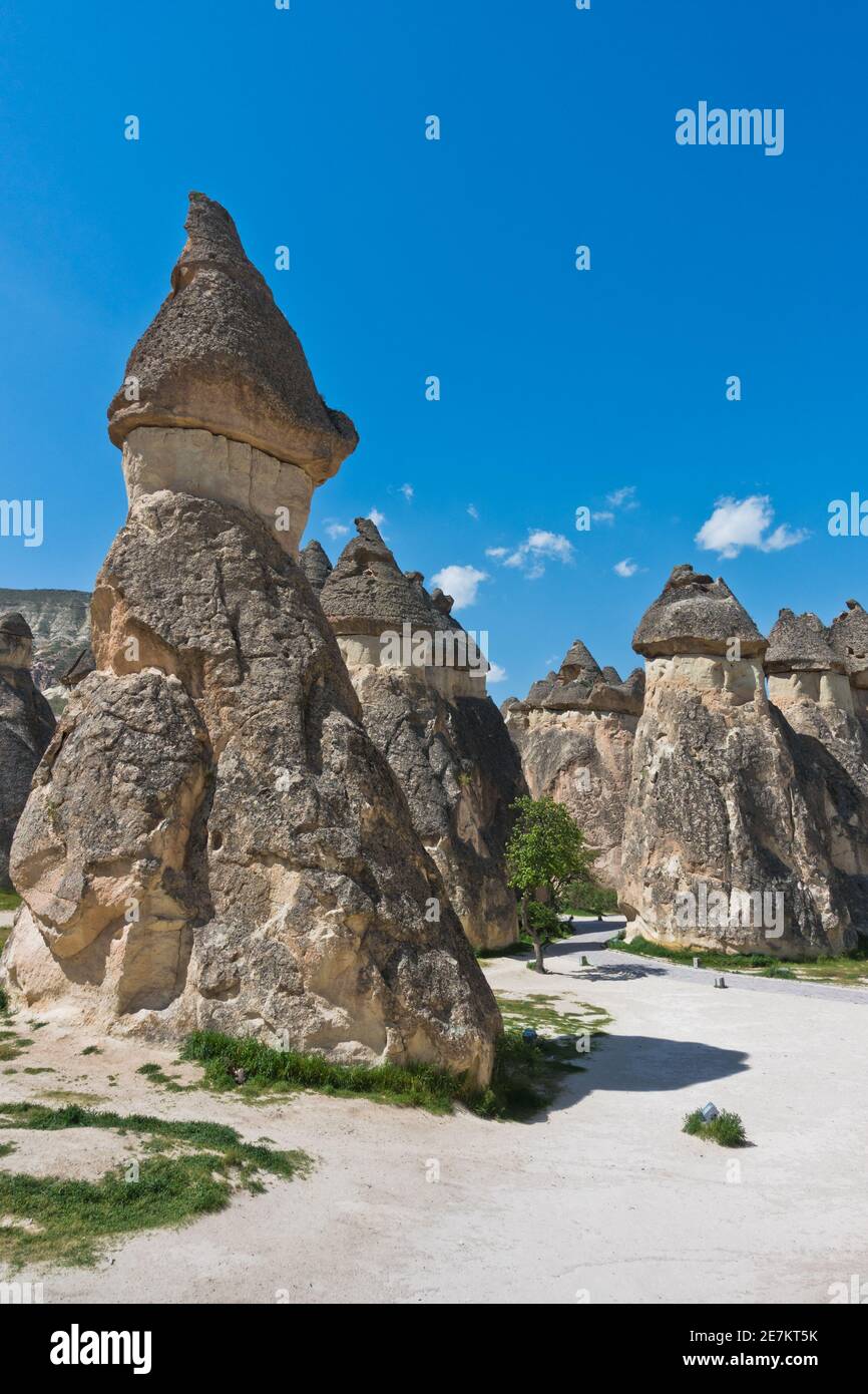 Detail von herrlichen Steinstrukturen und in der Nähe von Goreme, Kappadokien, Anatolien, Türkei Stockfoto