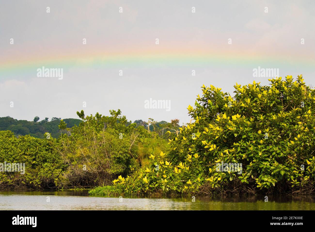 Regenbogen über dem Rembo Ngowe Fluss, Akaka, Loango Nationalpark, Gabun. Stockfoto