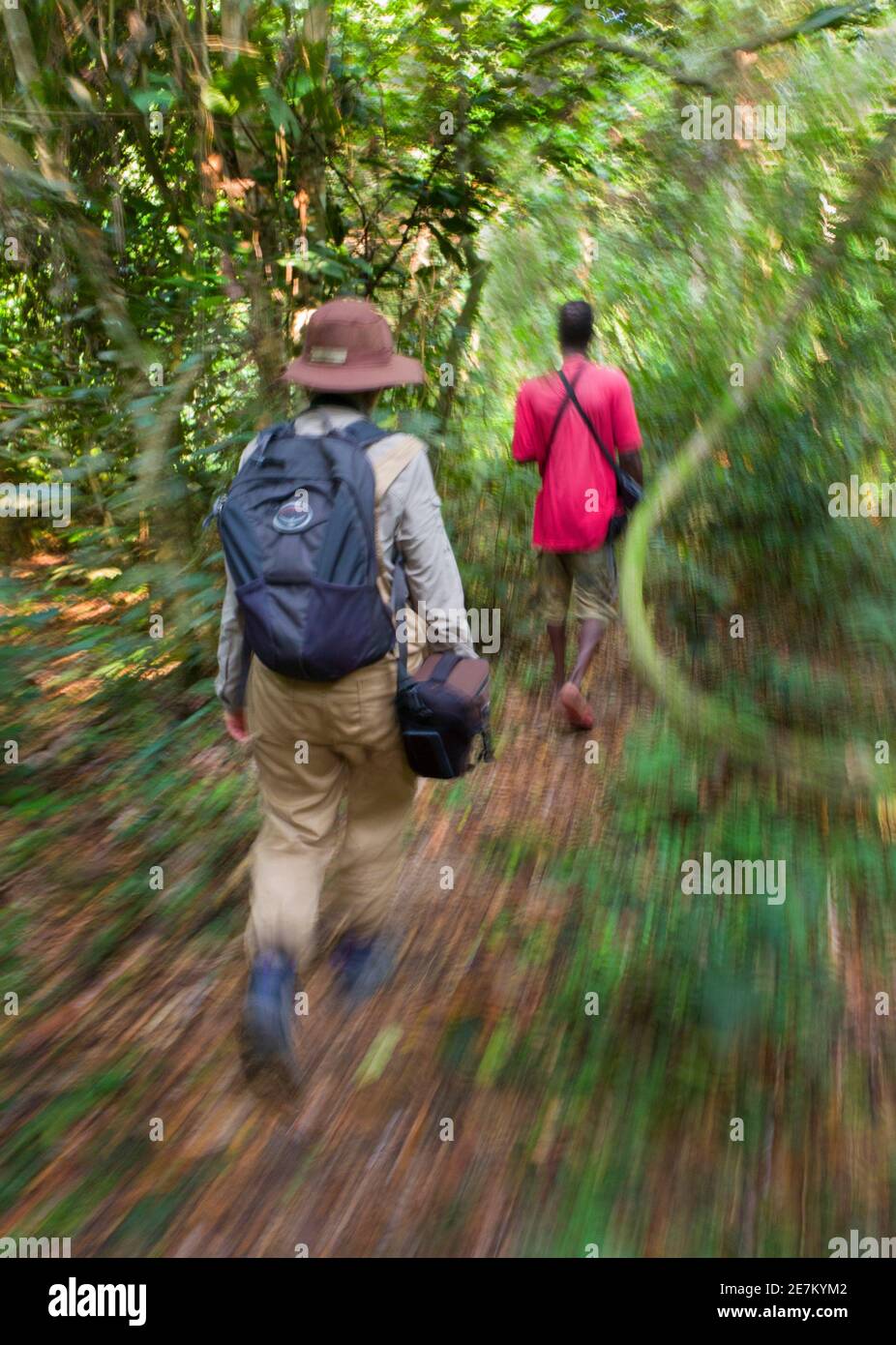 Öko-Tourist Wandern entlang der Strecke im Regenwald, Loango National Park, Gabun Stockfoto