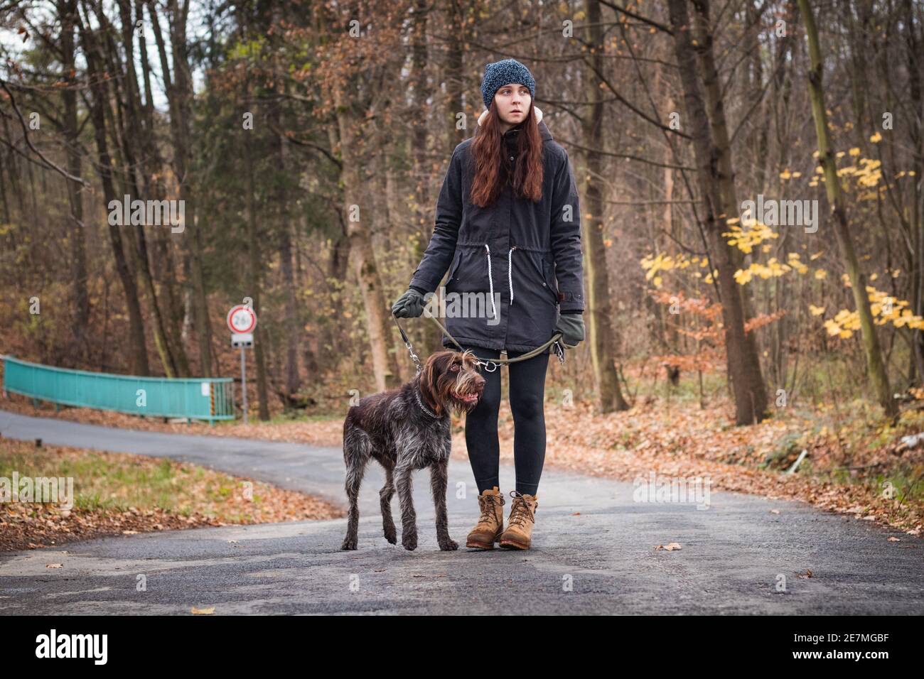 Serious natürliche Mädchen mit braunen Haaren mit ihrem Hund Bohemian Wire-haired Pointing Griffon Rasse ist zu Fuß durch die Natur. Ehrliches Porträt des jungen woma Stockfoto