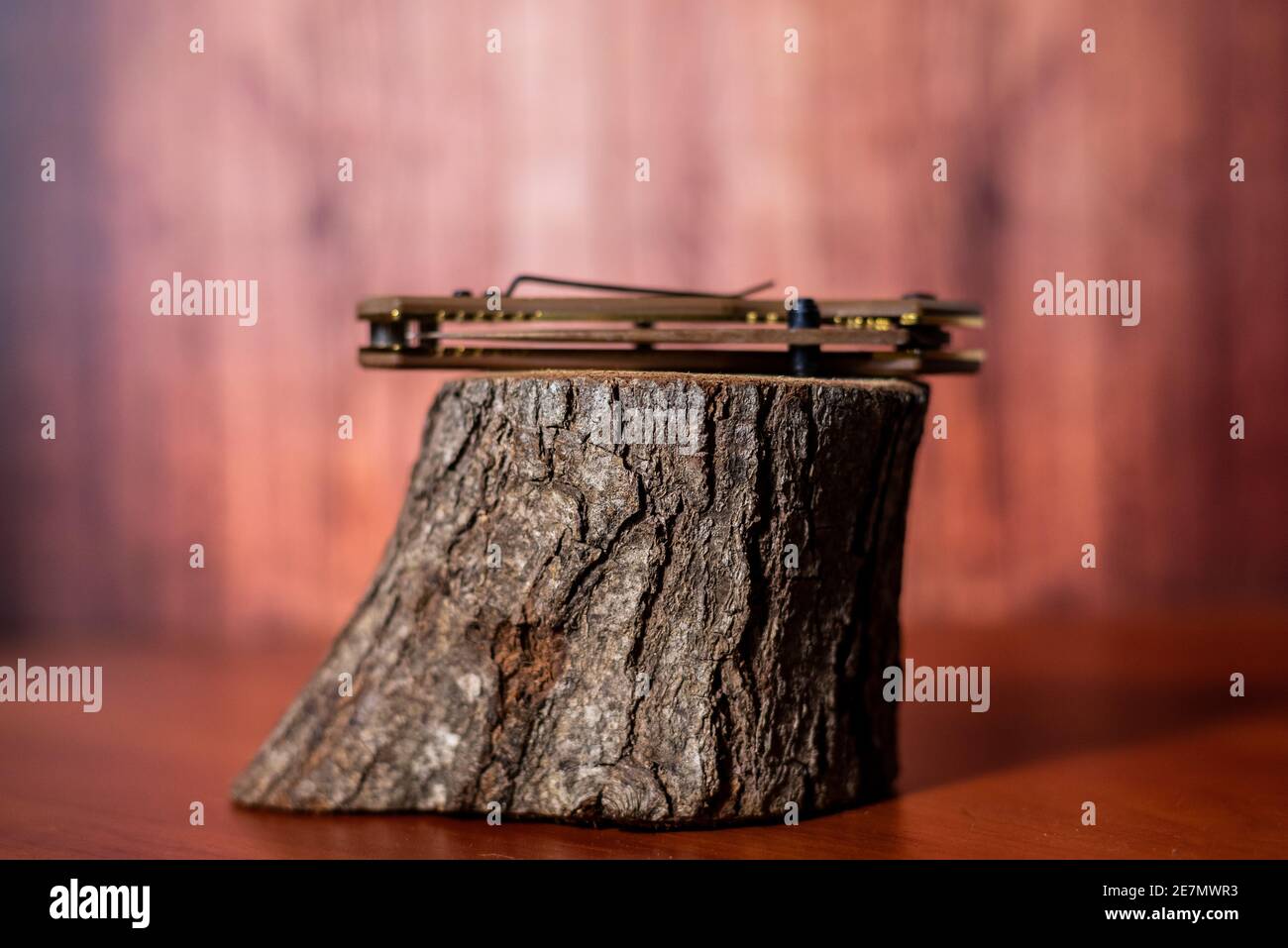 Klappmesser auf Holz auf braunem Hintergrund Stockfoto