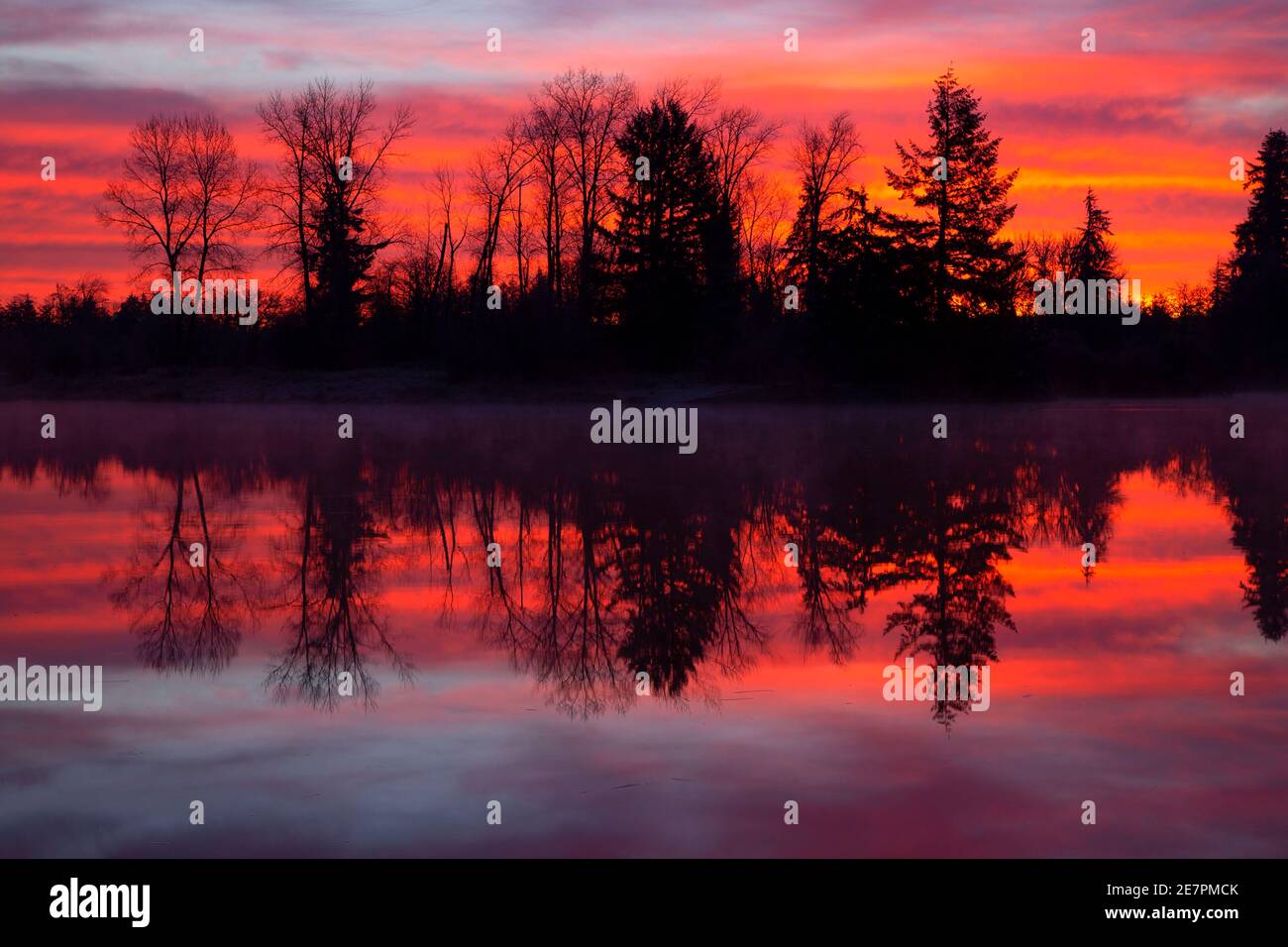 Aumsville Pond Sunrise, Aumsville Ponds County Park, Marion County, Oregon Stockfoto