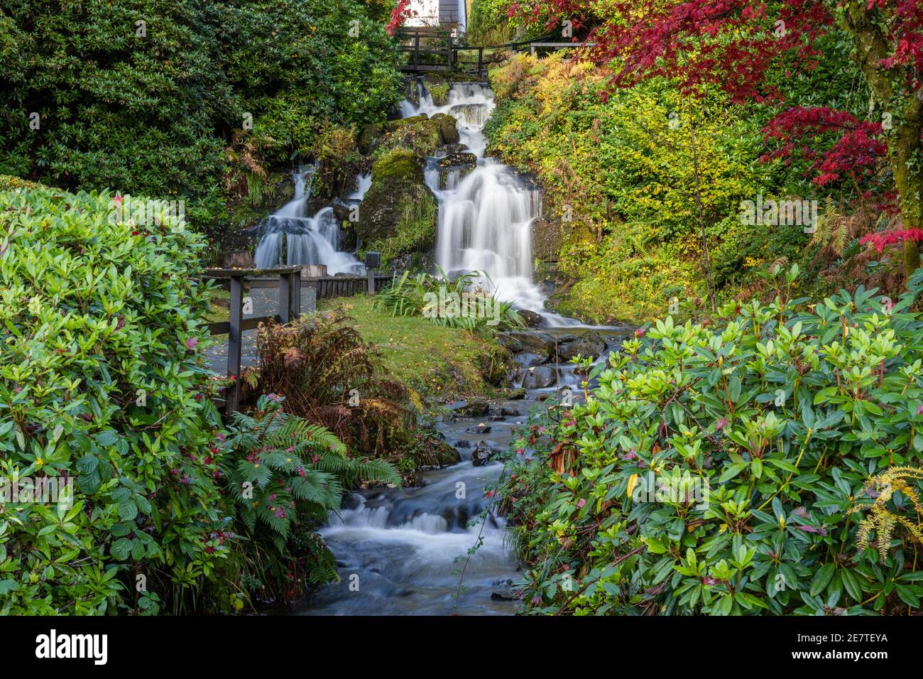 Wasserfall im Macdonald Forest Hills Hotel & Spa am Ufer des Loch ARD in den Trossachs, Schottland, Großbritannien Stockfoto