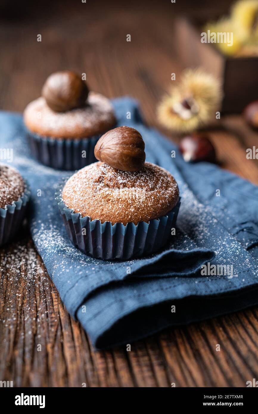 Muffins aus Edelkastanienpüree und Kakao, gekrönt mit geschälten und gebackenen Kastanien, bestäubt mit Puderzucker auf rustikalem Holzhintergrund Stockfoto