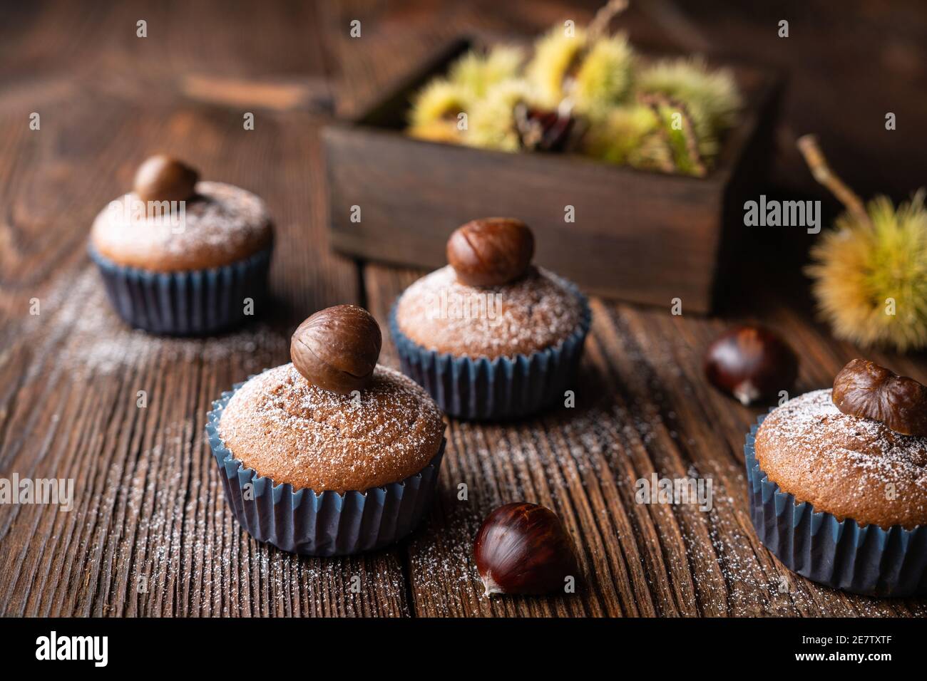 Muffins aus Edelkastanienpüree und Kakao, gekrönt mit geschälten und gebackenen Kastanien, bestäubt mit Puderzucker auf rustikalem Holzhintergrund Stockfoto