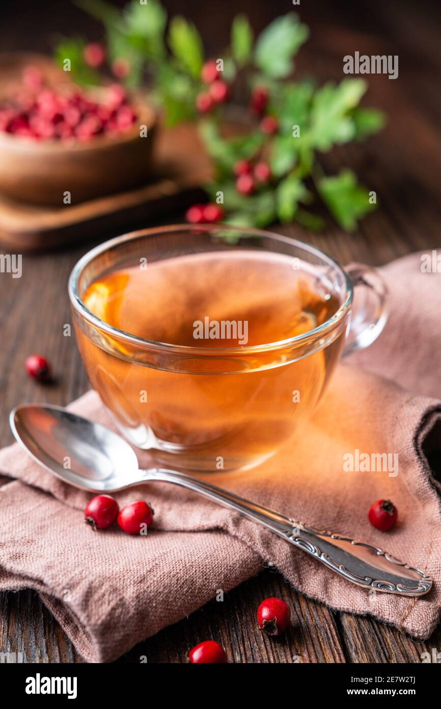 Eine Tasse heißen Weißdorntee aus frisch gepflückten Beeren, Kräutermedizin für die Herzgesundheit auf rustikalem Holzhintergrund Stockfoto