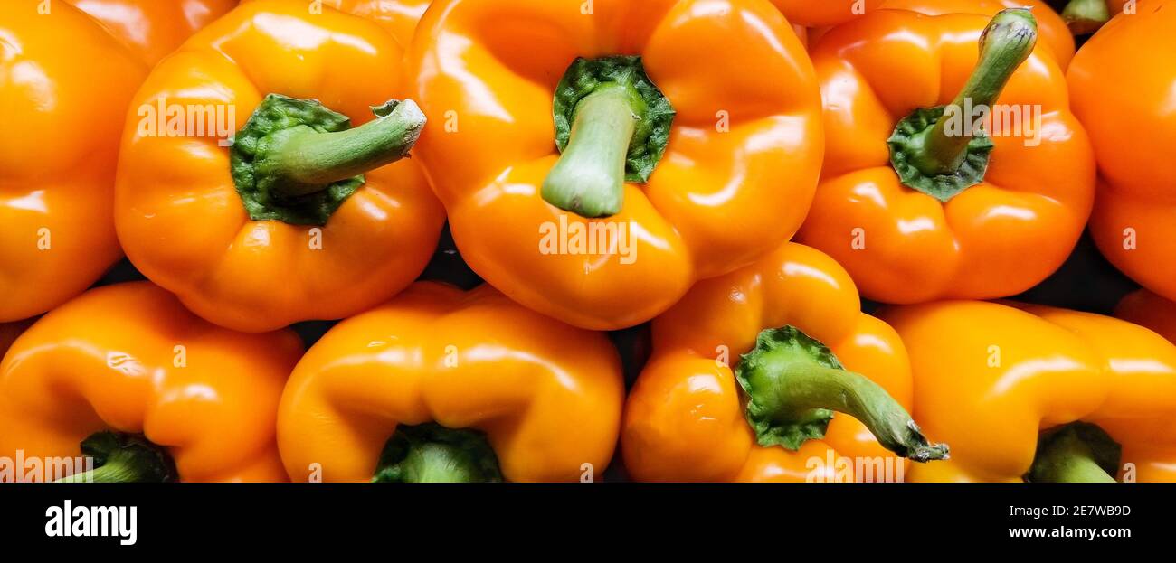 Gelbe Bell Peppers an einem Stand. Stockfoto