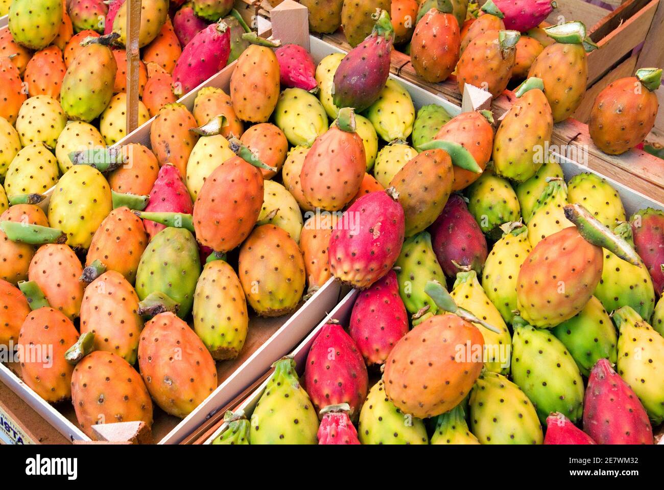 Stachelige Birne Kaktus Frucht in sizilianisches Lebensmittelmarkt, Palermo, Sizilien, Italien Stockfoto