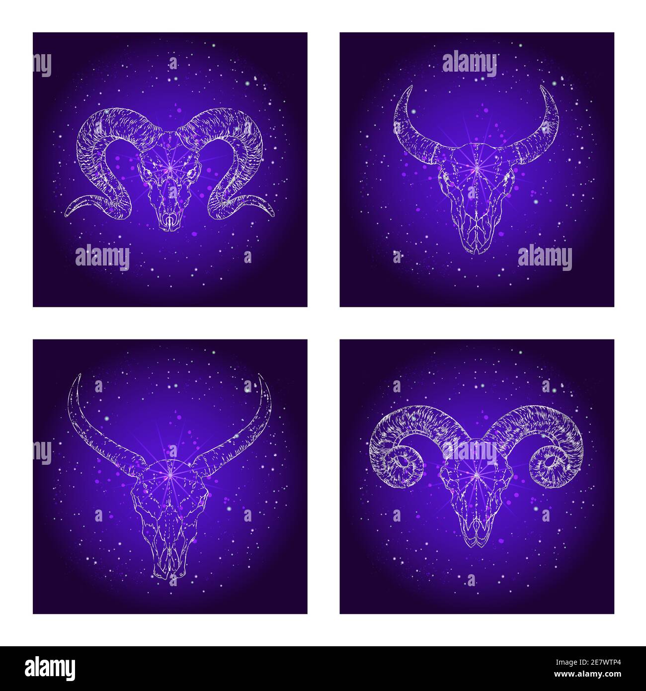 Vektor-Set von vier Illustrationen mit handgezeichneten Schädeln wilden Büffel, Stier und Widder auf lila abstrakten Hintergrund. Für Sie entwerfen, drucken, Tätowierung oder ma Stock Vektor
