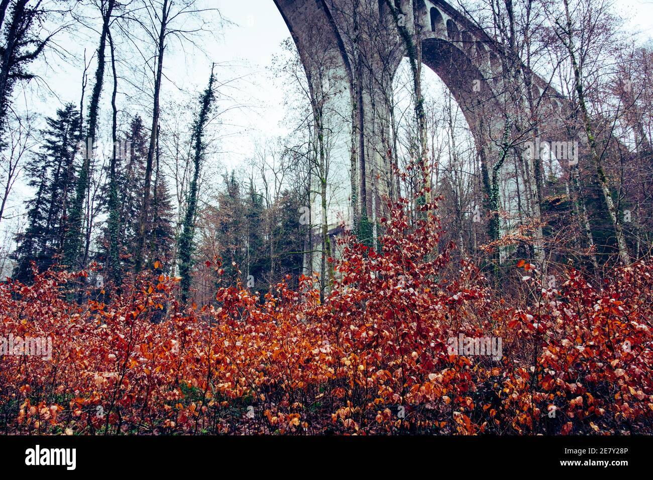 Landschaftsansicht des Viaduc von Grandfey (Grandfey-Brücke), in Freiburg, Schweiz Stockfoto