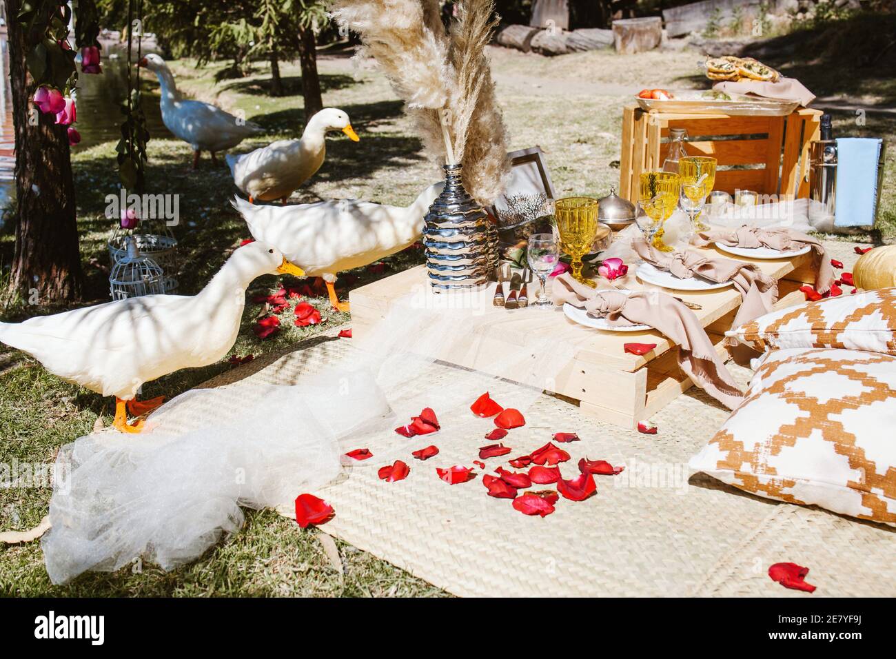 Picknick für ein romantisches Date in Valentinstag in einem Wald und See in Lateinamerika Stockfoto