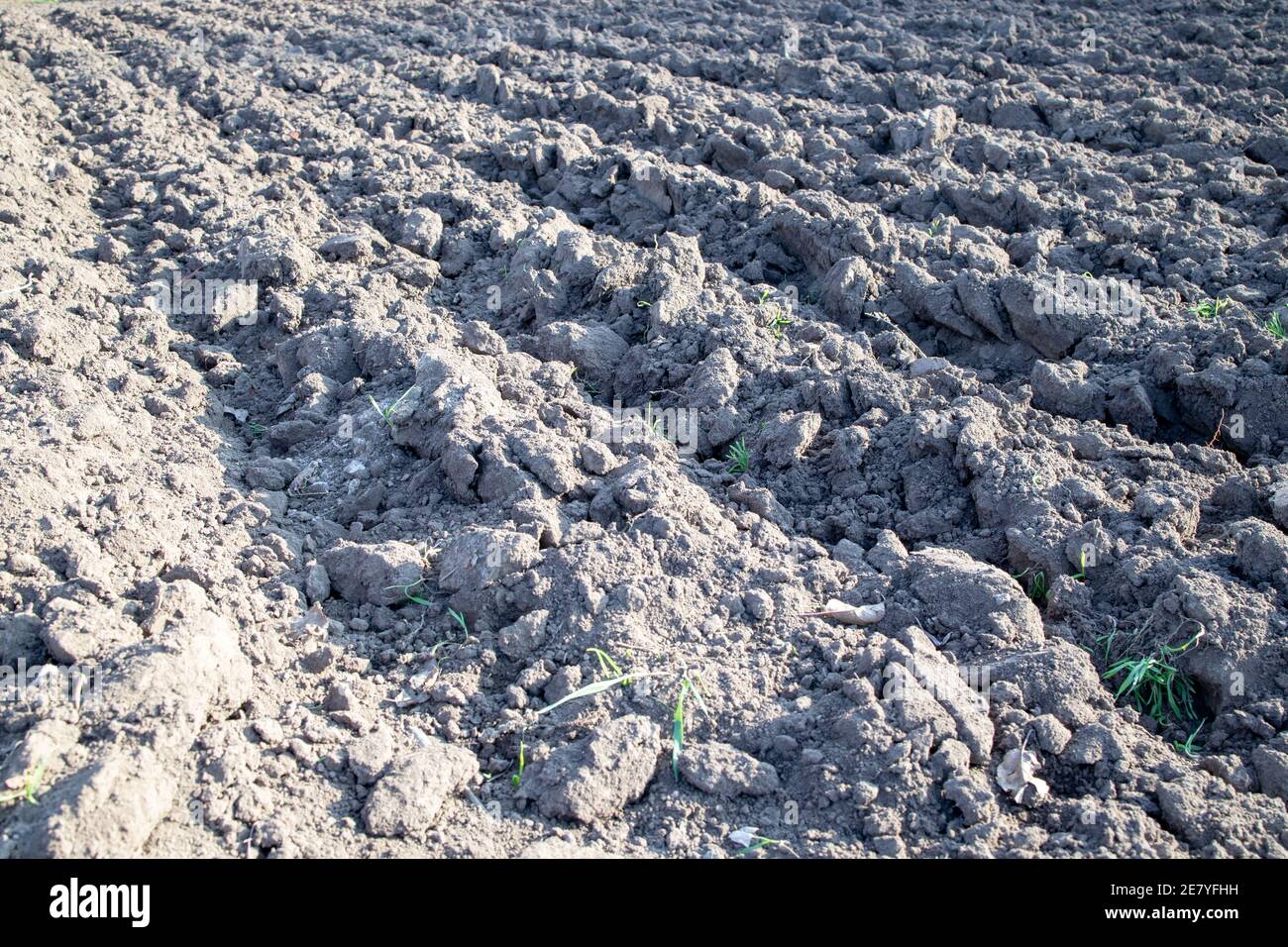 Ein Ackerland landwirtschaftlichen Feld Hintergrund. Landwirtschaftliche Konzept Stockfoto