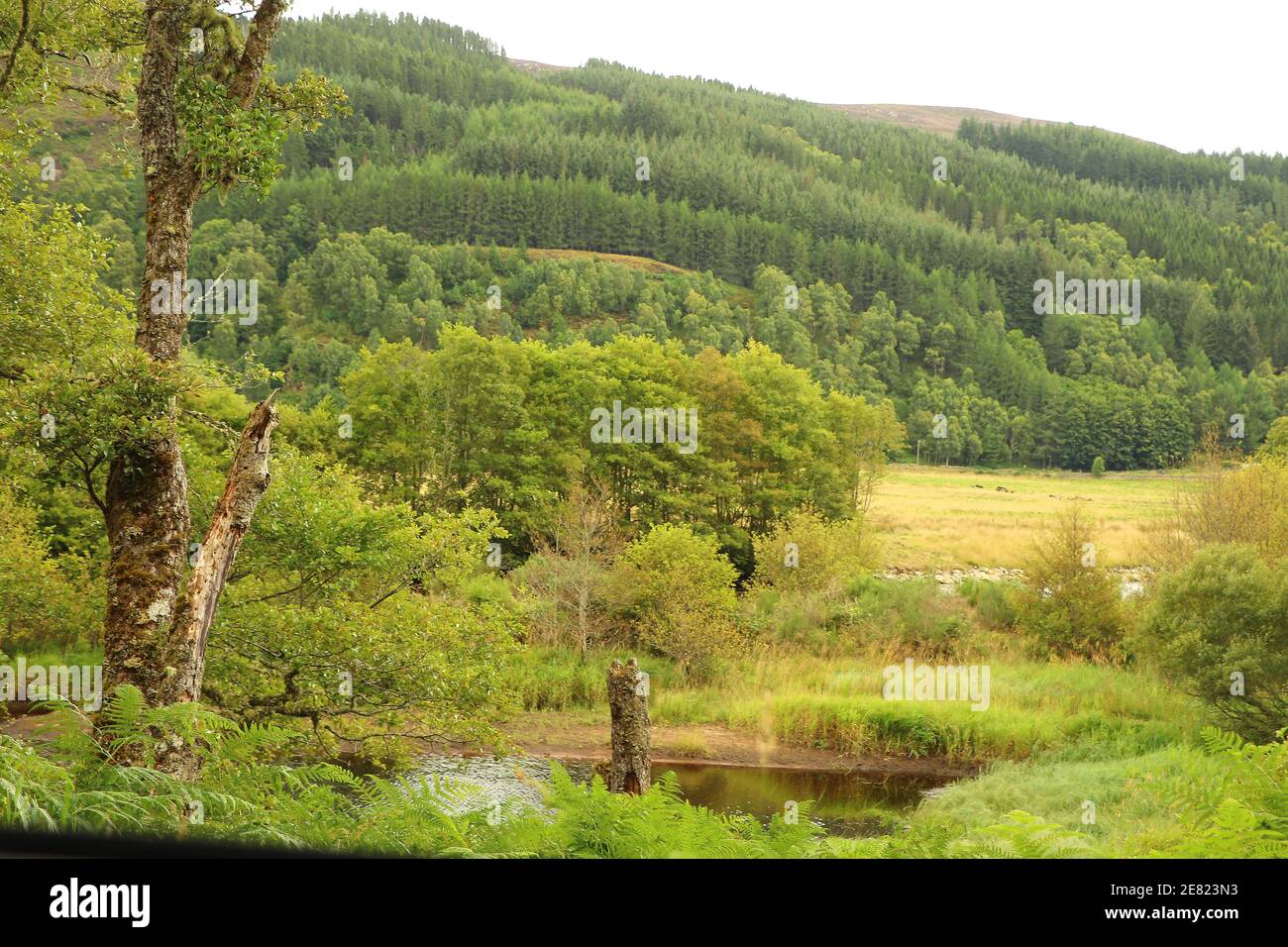 Ein Blick von den Hügeln Schottlands auf die Täler, Flüsse und Seen Stockfoto