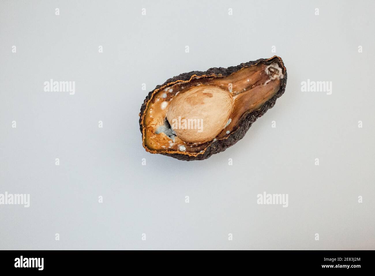 Die Hälfte der ungesunden verfaulten Avocado auf hellem Hintergrund. Schlechte Avocado Schnitt offen. Schimmelige Avocado Stockfoto