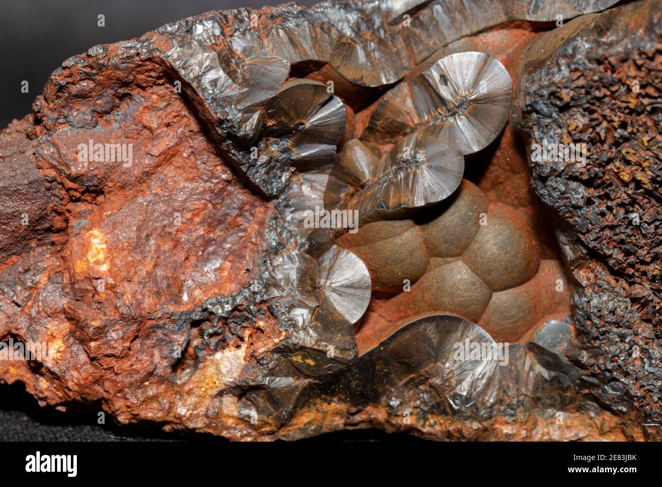 Botryoidal Goethit 60 Mine, Luis Lopez Manganese District Socorro County, New Mexico Stockfoto