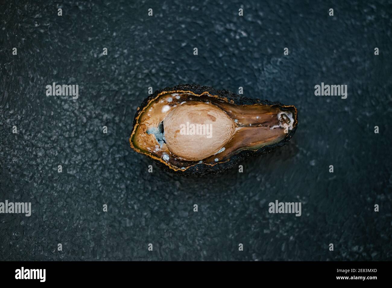 Die Hälfte der ungesunden verfaulten Avocado auf dunklem Hintergrund. Schlechte Avocado Schnitt offen. Schimmelige Avocado Stockfoto