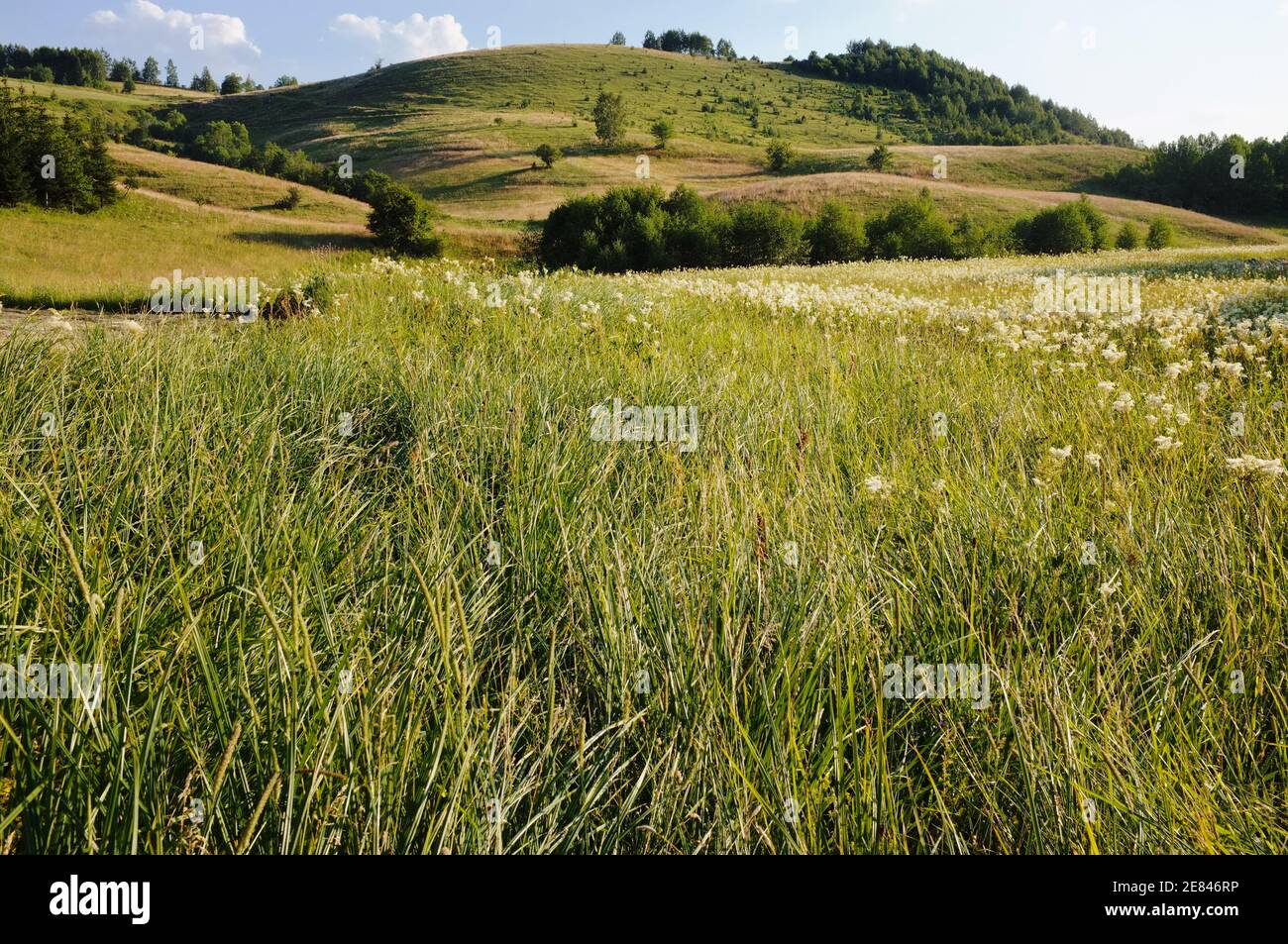 Ländliche Landschaft am Abend, Serbien Stockfoto