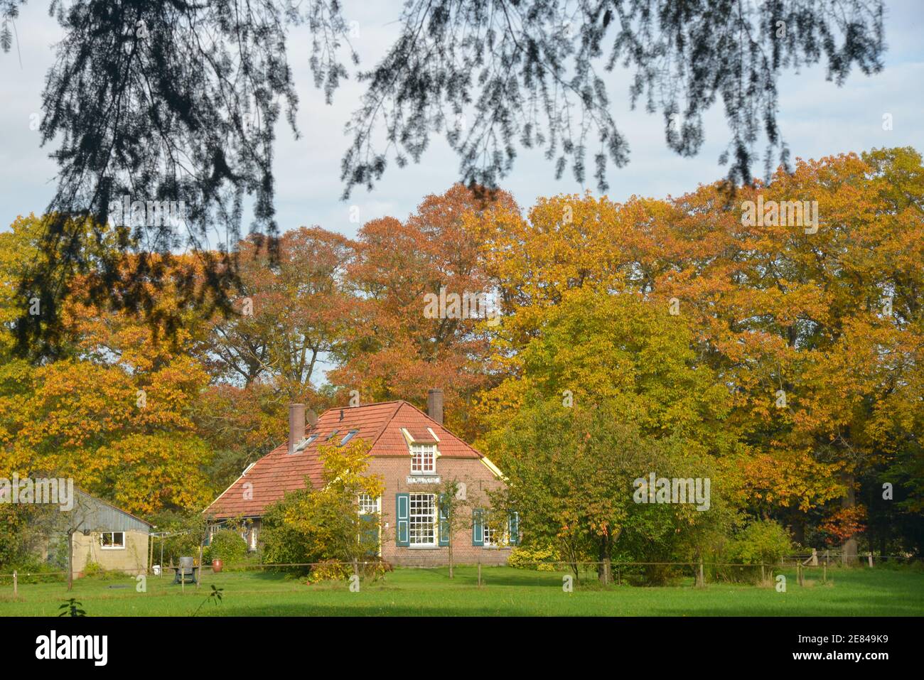 Blick auf historischen Bauernhof in Gelderland Stockfoto