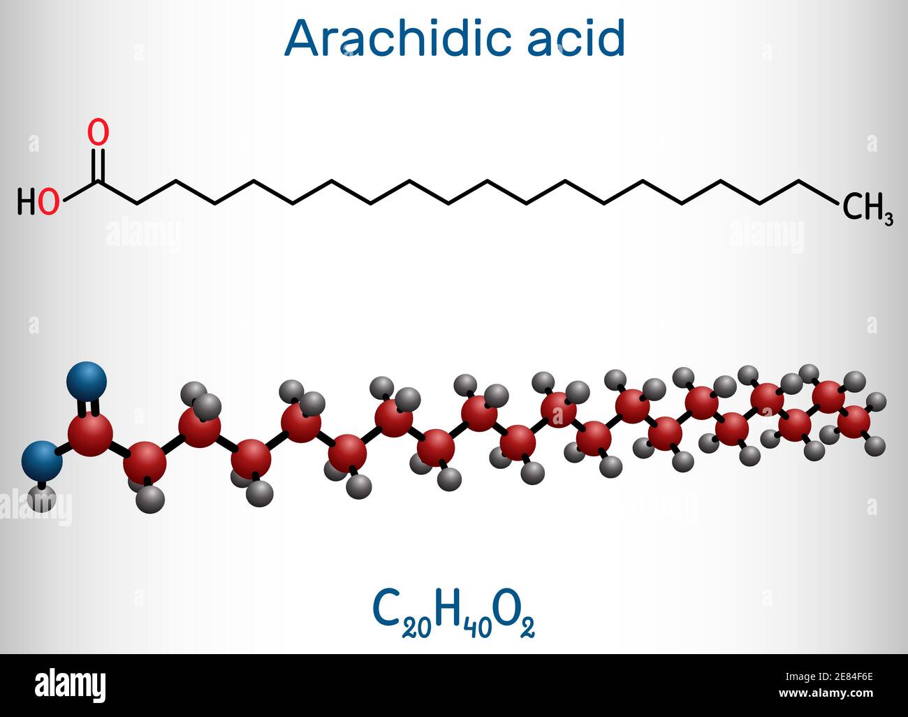 Arachidinsäure, Eicosanoic, Icosansäure Molekül. Es ist gesättigte langkettige Fettsäure. Strukturelle chemische Formel und Molekülmodell. Vektor-Abb. Stock Vektor