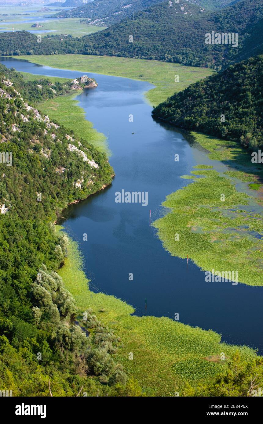 Crnojevica Fluss fließt in See Skadar Nationalpark, Montenegro Stockfoto
