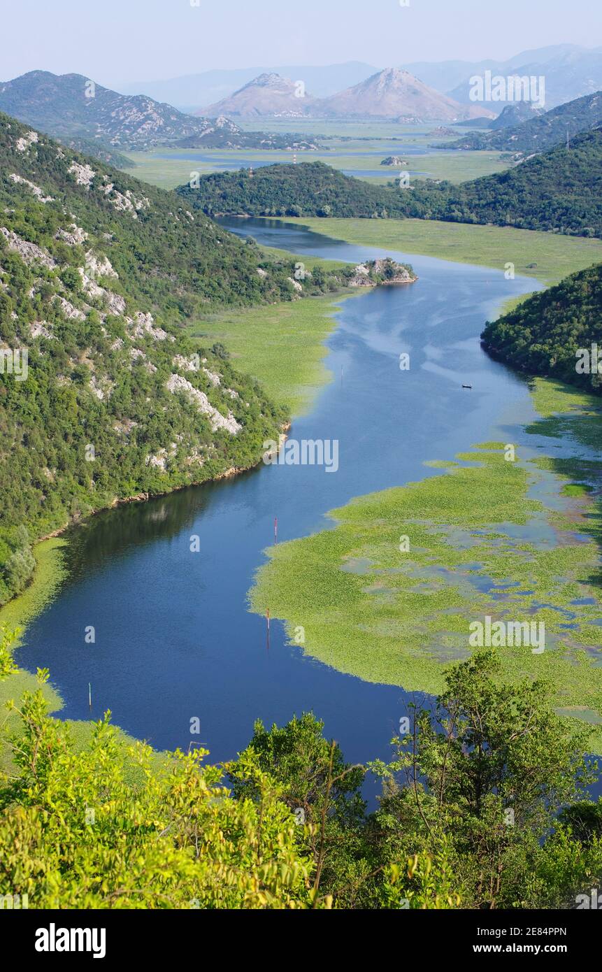 Eingang des Flusses Crnojevica in den Skadar-Nationalpark, Montenegro Stockfoto